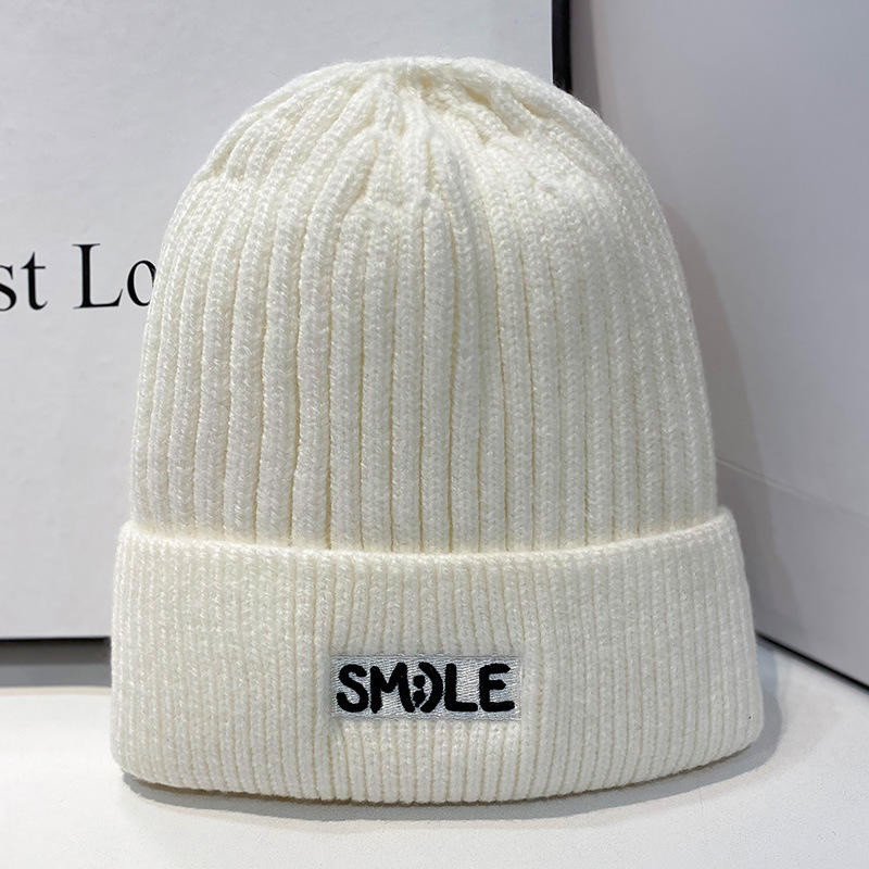 H00019 Adult Embroidered Knitted Hat Winter Ear Protection